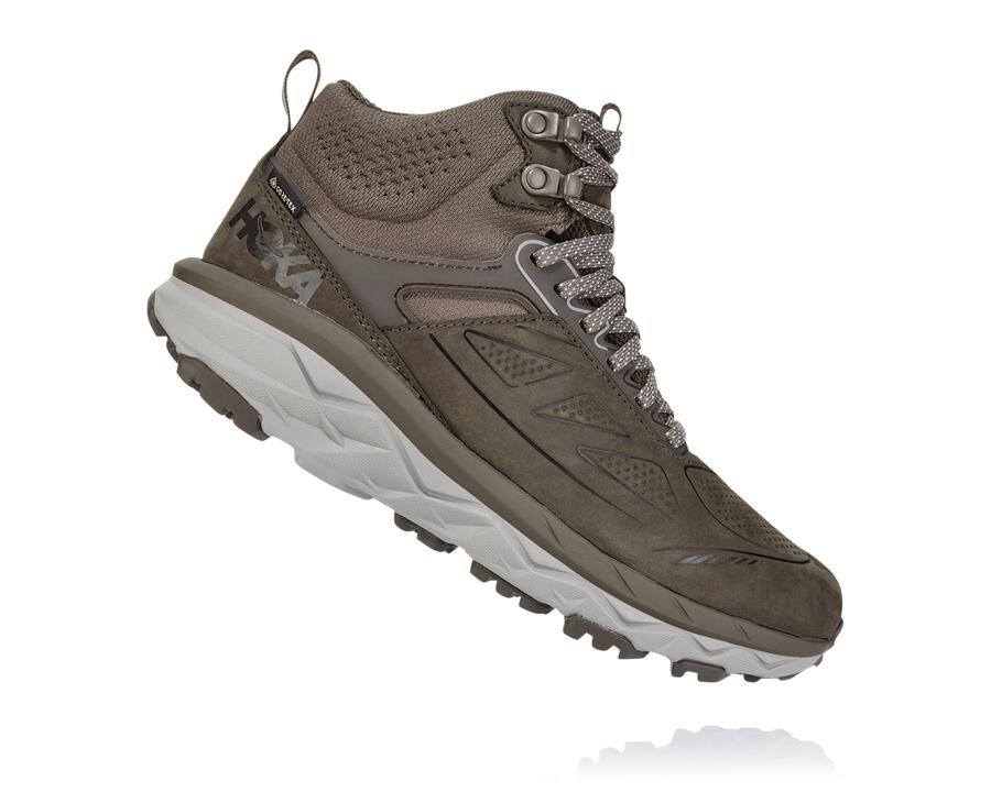 Hoka One One Challenger Mid Gore-Tex Vandringsskor Dam - Bröst - PTHAY-2510